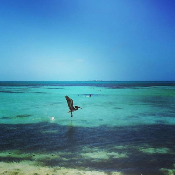 Meet your Posher, Stephanie - Picture 1 of 1